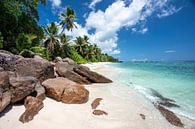 Tropischer Strand auf den Seychellen von Krijn van der Giessen Miniaturansicht