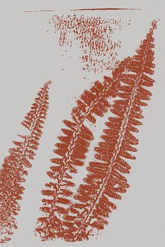 Moderne Botanische kunst. Varensbladeren in terracotta nr. 2 van Dina Dankers