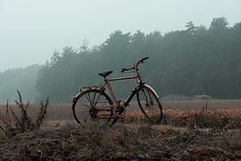 Honour spot for cyclists by Rolf Berends