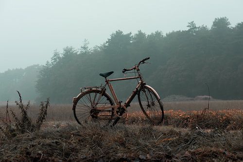 Une place d'honneur pour les cyclistes