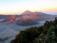 Bromo - Volcan pittoresque de Java