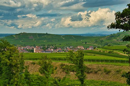 Landschap in de Kaiserstuhl