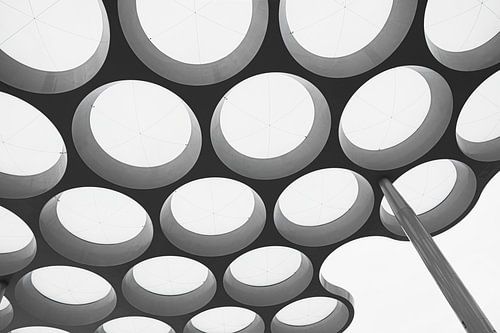 Bollendak Stationsplein Utrecht