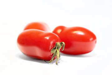 reife Roma-Tomaten mit weißem Hintergrund