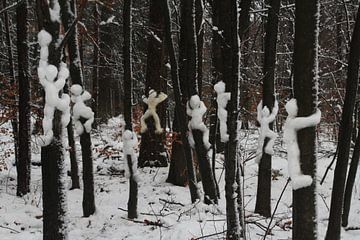 Ze maken sneeuwballen van ons, vlug de boom in !