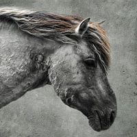 Cheval Konik | Structure en béton