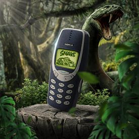 An ode to the past (Nokia 3310) by Bert Hooijer