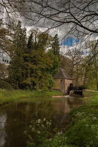 Watermolen van Hackfort van Arno Wolsink