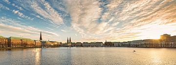 Alster in the golden light by Dirk Thoms