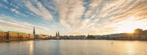 Alster  im Goldenen Licht