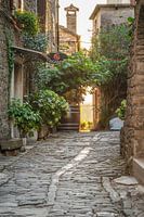 Sunrise in the cobblestone alley