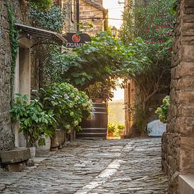 Sunrise in the cobblestone alley by Maurice Welling