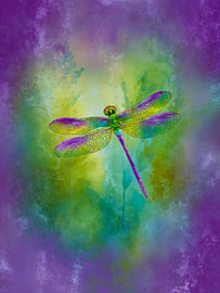 Flügel in einem violetten Traum