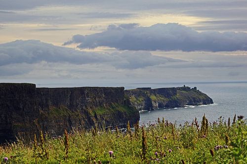 Kliffen van Moher Ierland