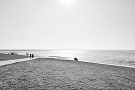 Marée basse en mer du Nord sur Heiko Westphalen