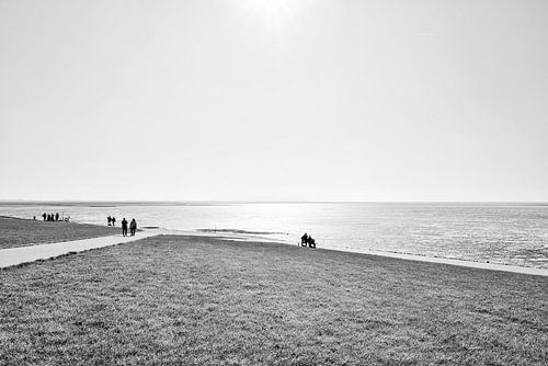 Low tide on the North Sea
