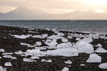 Ijschotsen op het strand op Spitsbergen van Anouschka Hendriks