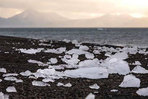 Ice floes on the beach on Svalbard