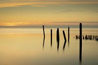 Morgen am Wasser