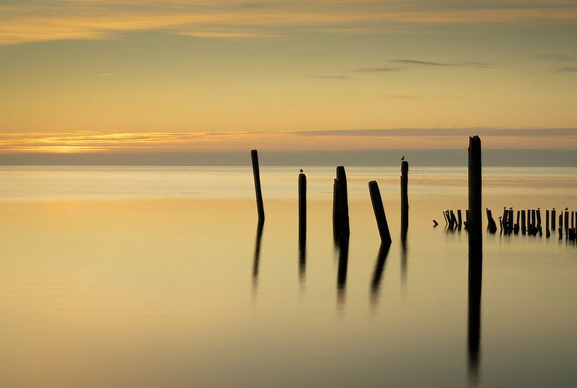 Morgen am Wasser von Claudia Gruben
