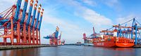 Frachtcontainerschiffe mit Transportcontainern, die während eines schönen Sommertages am Containerte von Sjoerd van der Wal Fotografie Miniaturansicht