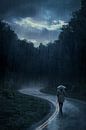 Eenzame wandeling door een regenachtig bos van Art & Soul Creations thumbnail