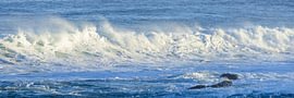 Storm Song of the Awakening Sea
