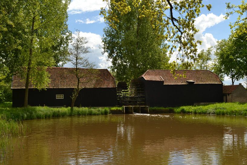 die Mühle von Nederwetten in Brabant gefotograafd während nationael Mühle Tage von tiny brok