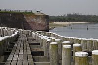 The Zeeland coast