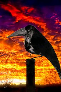 Ultimatum - The Omen