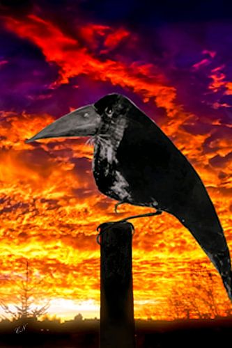 Ultimatum - The Omen by Christine Nöhmeier