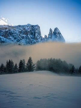 Alpe di Siusi - Sciliar and Santner Peak in the fog
