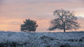 Sunrise. by René Jonkhout