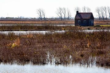 Huis dat wordt teruggegeven aan de natuur op Tiengemeten van Peter de Kievith Fotografie