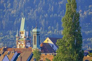 Freiburg über den Dächern