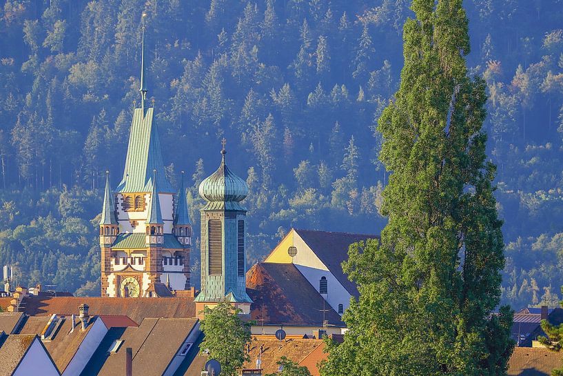 Freiburg boven de daken van Patrick Lohmüller