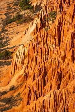 Sandstein Formation am Praia da Falésia an der Algarve, Portugal von Leo Schindzielorz