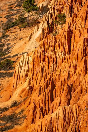 Zandsteenformatie bij Praia da Falésia in de Algarve, Portugal