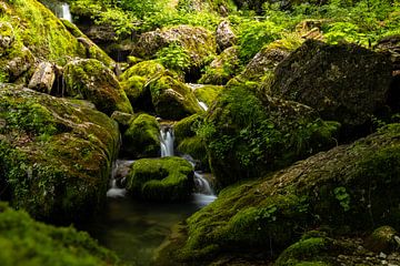 Mountain stream in the Alps by Alexander Ließ