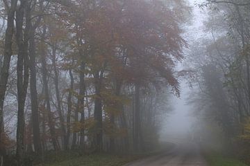 Mist sur marleen brauers