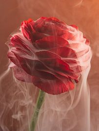 Tangerine Twist: Rote Blume umhüllt von fließendem Rauch von Marjolijn van den Berg