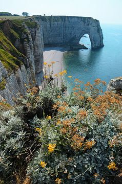 Elephant rock near the coast of Etretat, Normandy with yellow flowers in the foreground by Evert-Jan Hoogendoorn