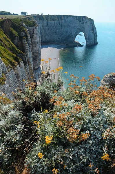 Olifant rots bij de kust van Etretat, Normandië met gele bloemen op de voorgrond van Evert-Jan Hoogendoorn