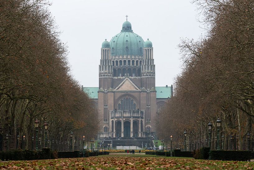 Koekelberg, Région de Bruxelles-Capitale, Belgique - 11 19 2021 : Faible a par Werner Lerooy