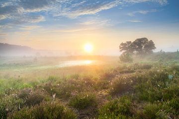 Lever de soleil à Kampina