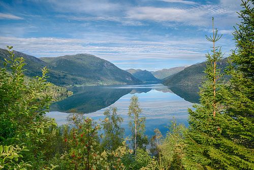 Fjord with reflection