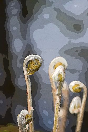 gestileerde bloemknoppen