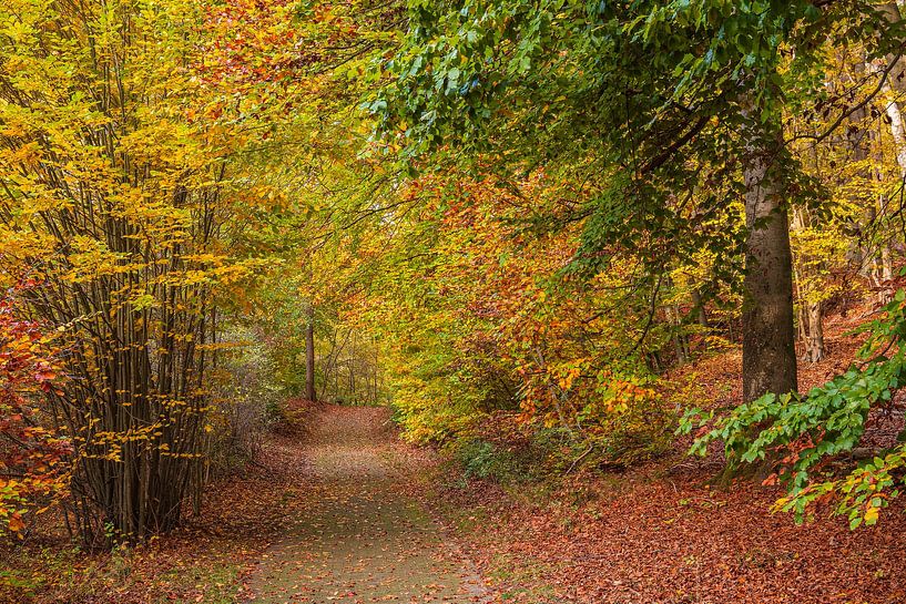 Landscape in autumn in Feldberg lakeland by Rico Ködder