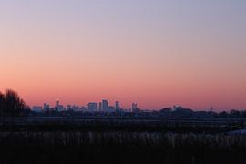 Skyline of Rotterdam