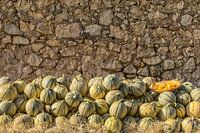 Melonen auf dem Markt